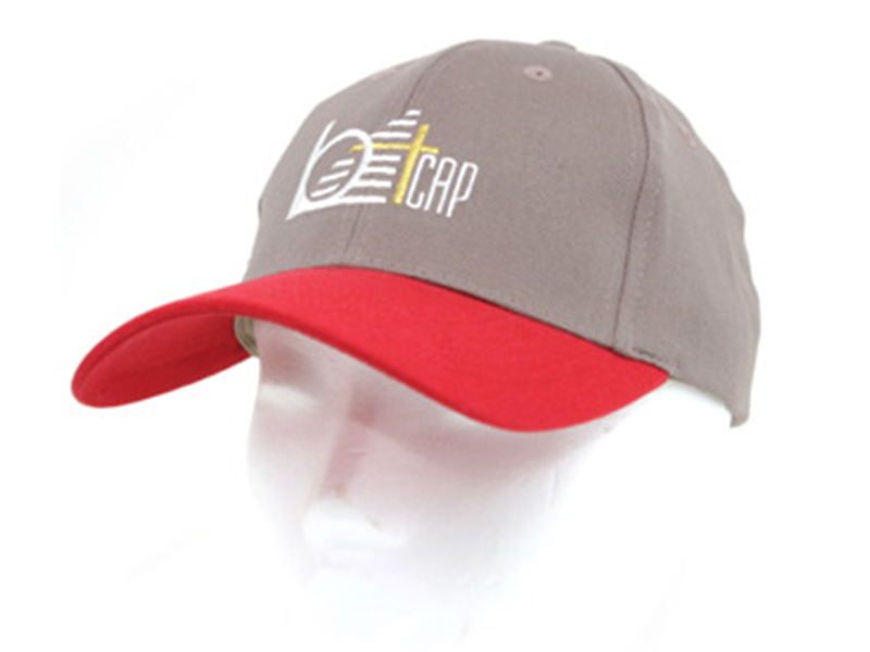 Bt170 Low profile cap (Canvas)